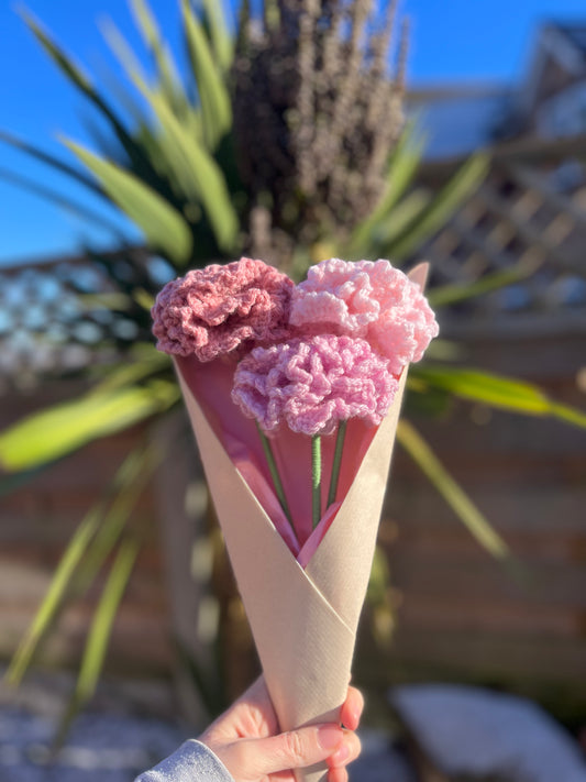 Carnation flower bouquets