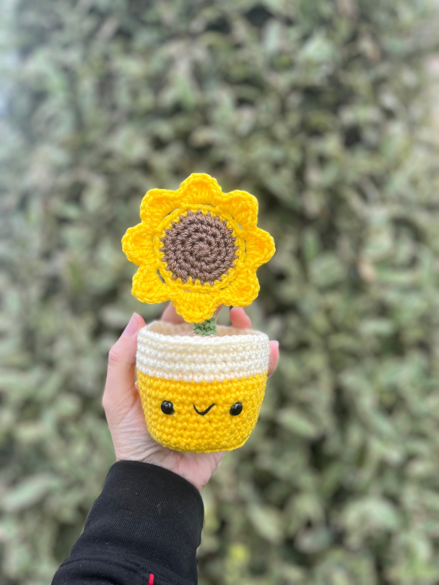 Sunflower Pot