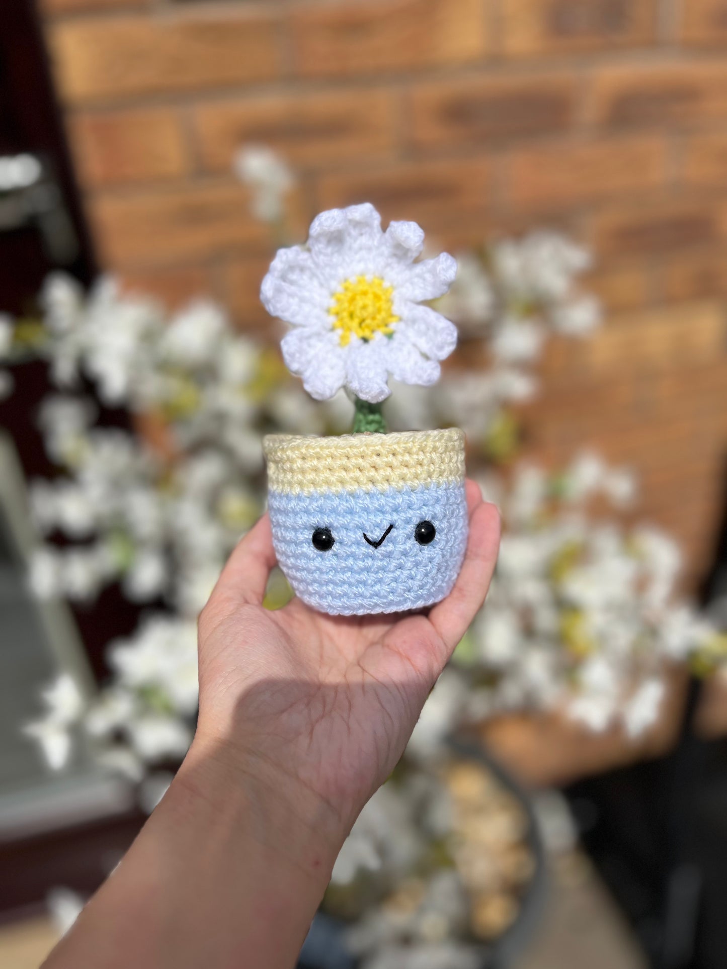 Daisy Pot