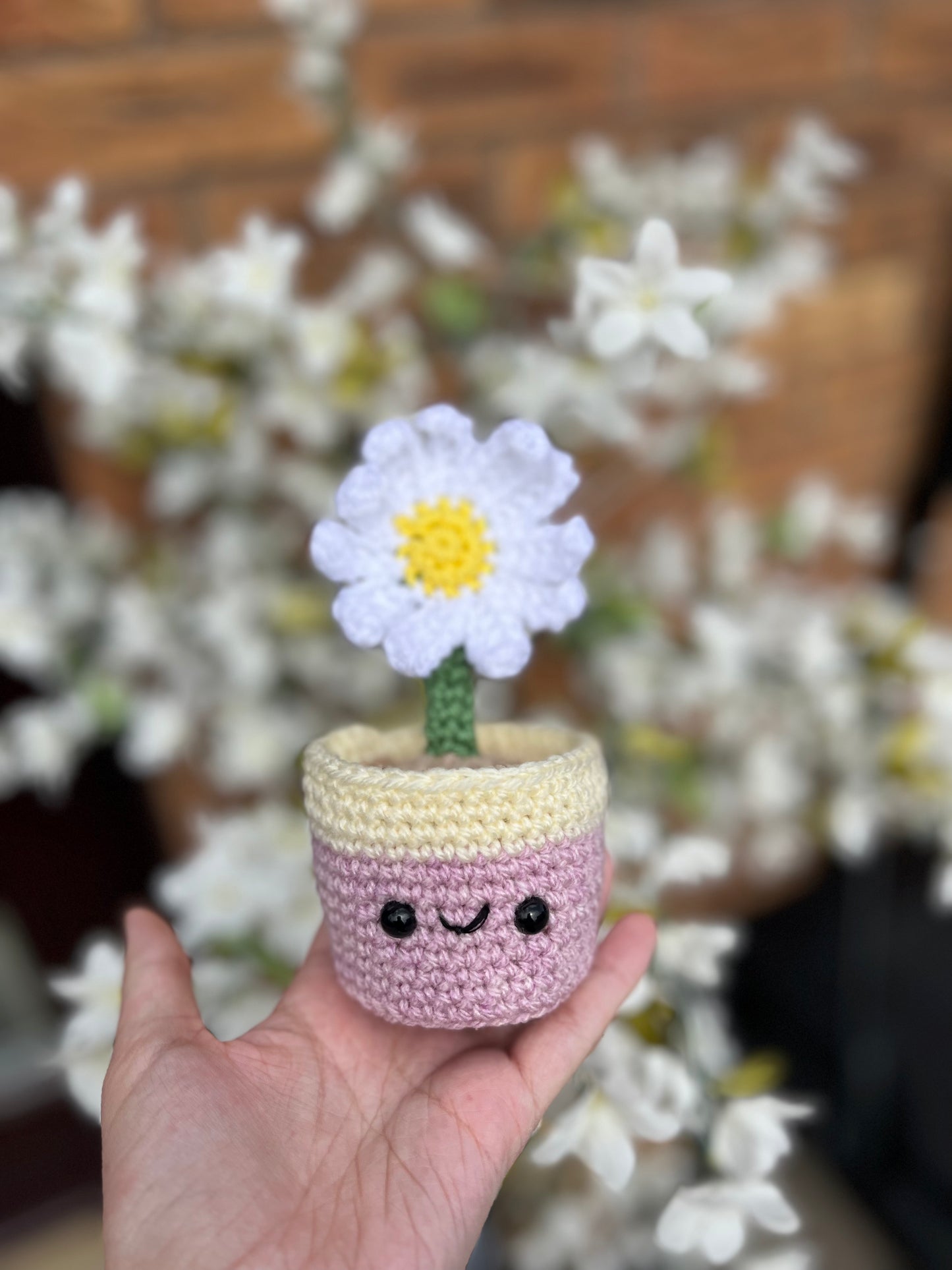 Daisy Pot