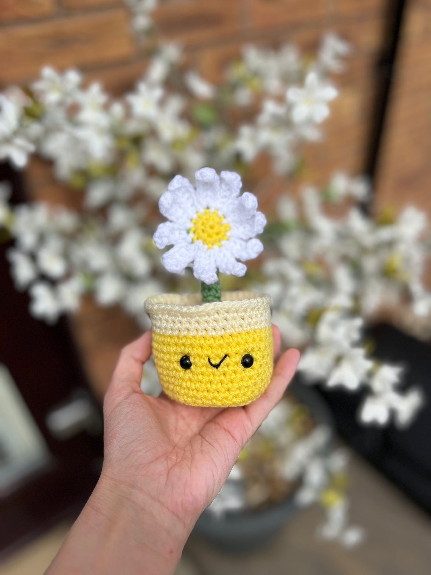 Daisy Pot